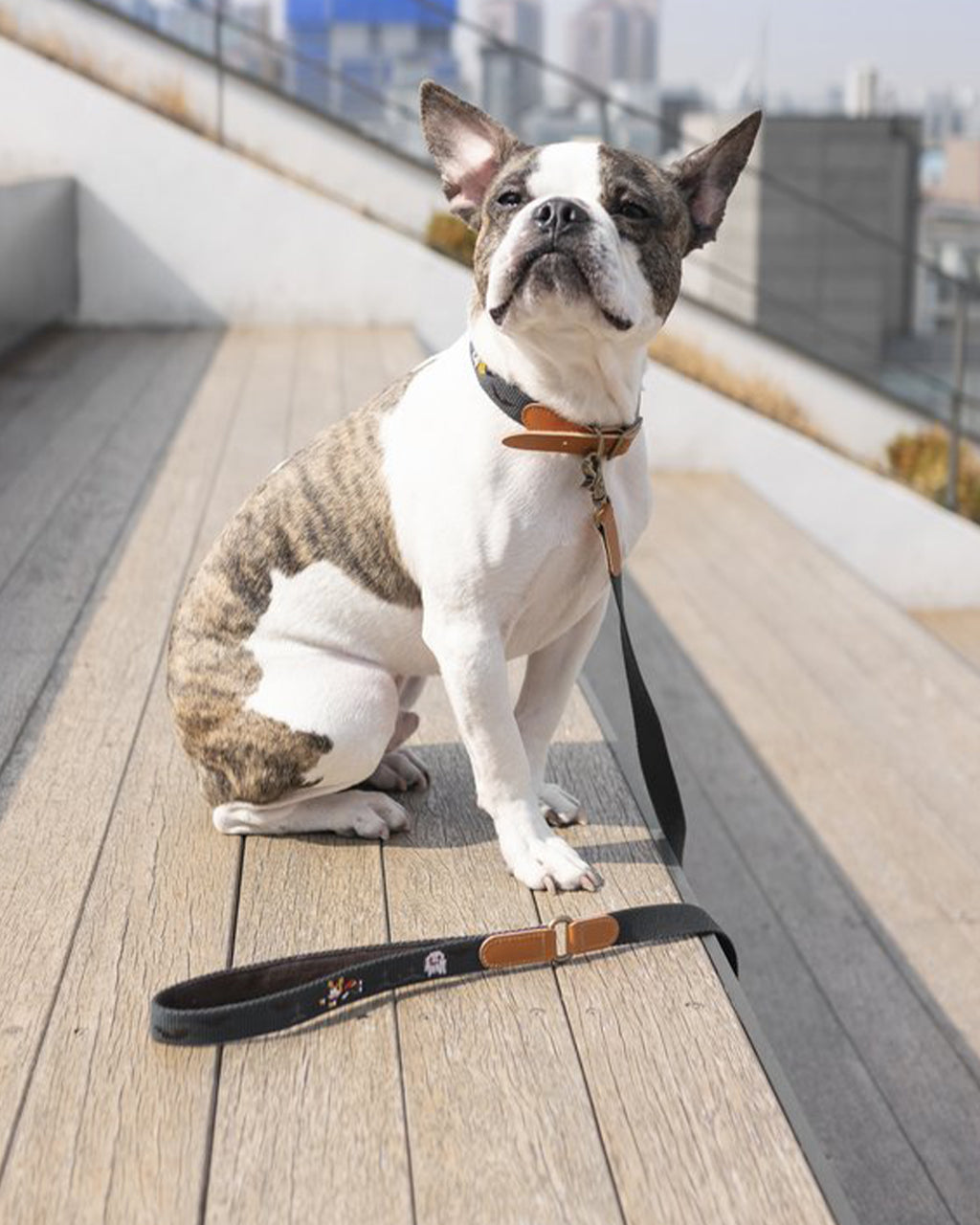 ADVENTURE HARNESS by Howlpot