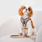 3-in-1 City Dog Leash - Hamptons