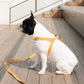 ADVENTURE HARNESS by Howlpot