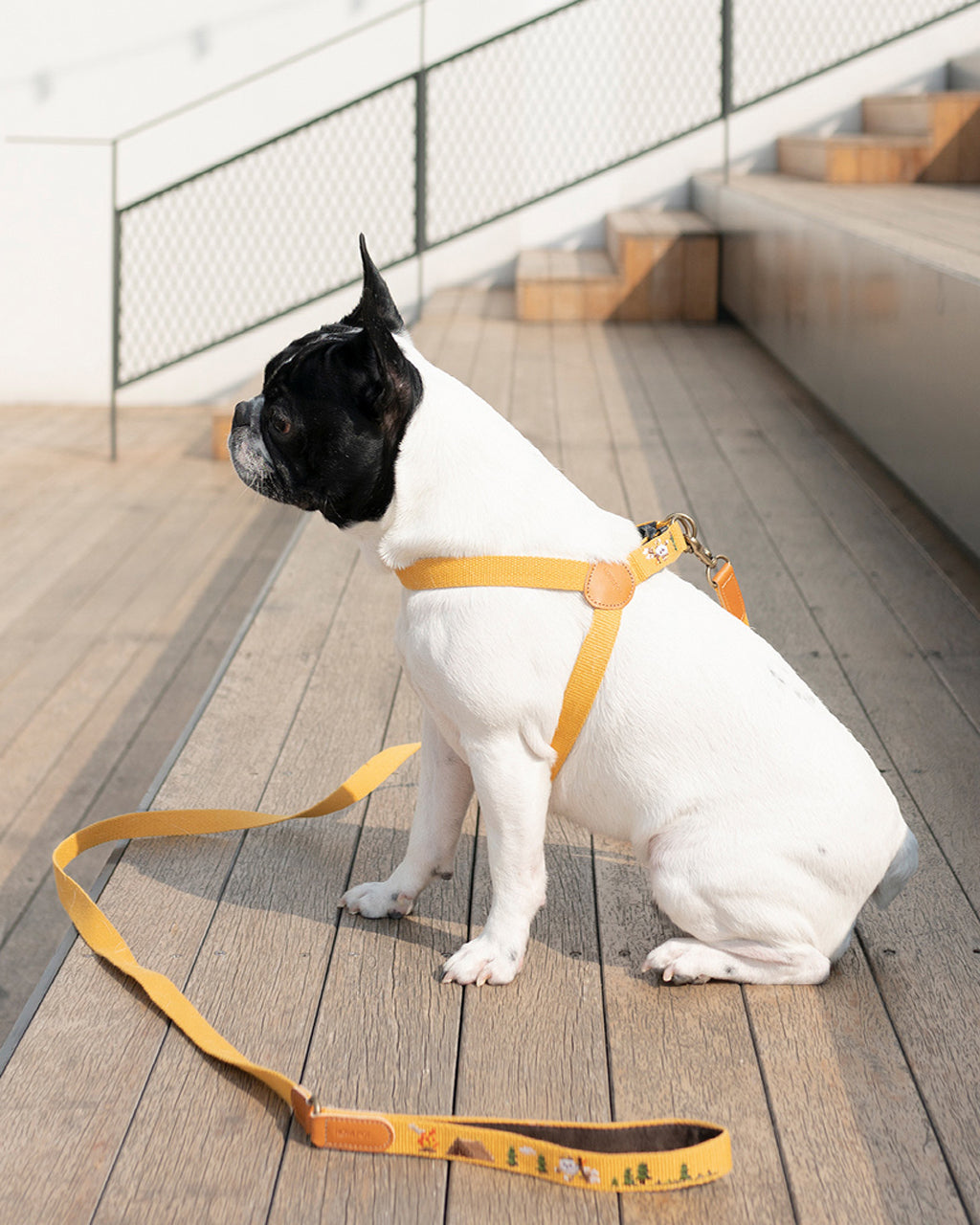 ADVENTURE HARNESS by Howlpot