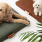 Terra | Modern Dog Bed or Bed Cover