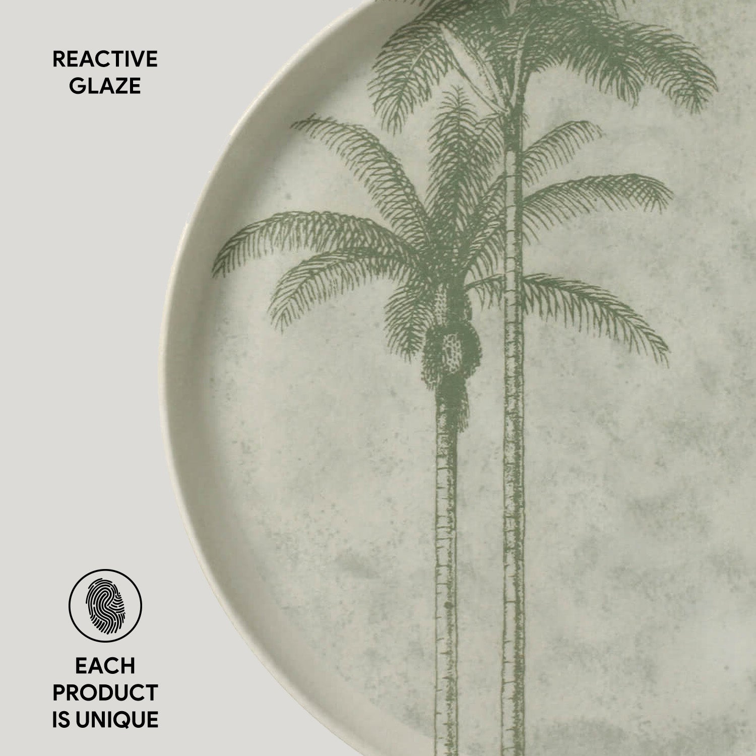 Dinner Plate Set of 6