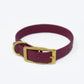 CLASSIC BRASS COLLAR by High Tail Hikes