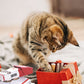 3 PACK CIGARS CATNIP TOY