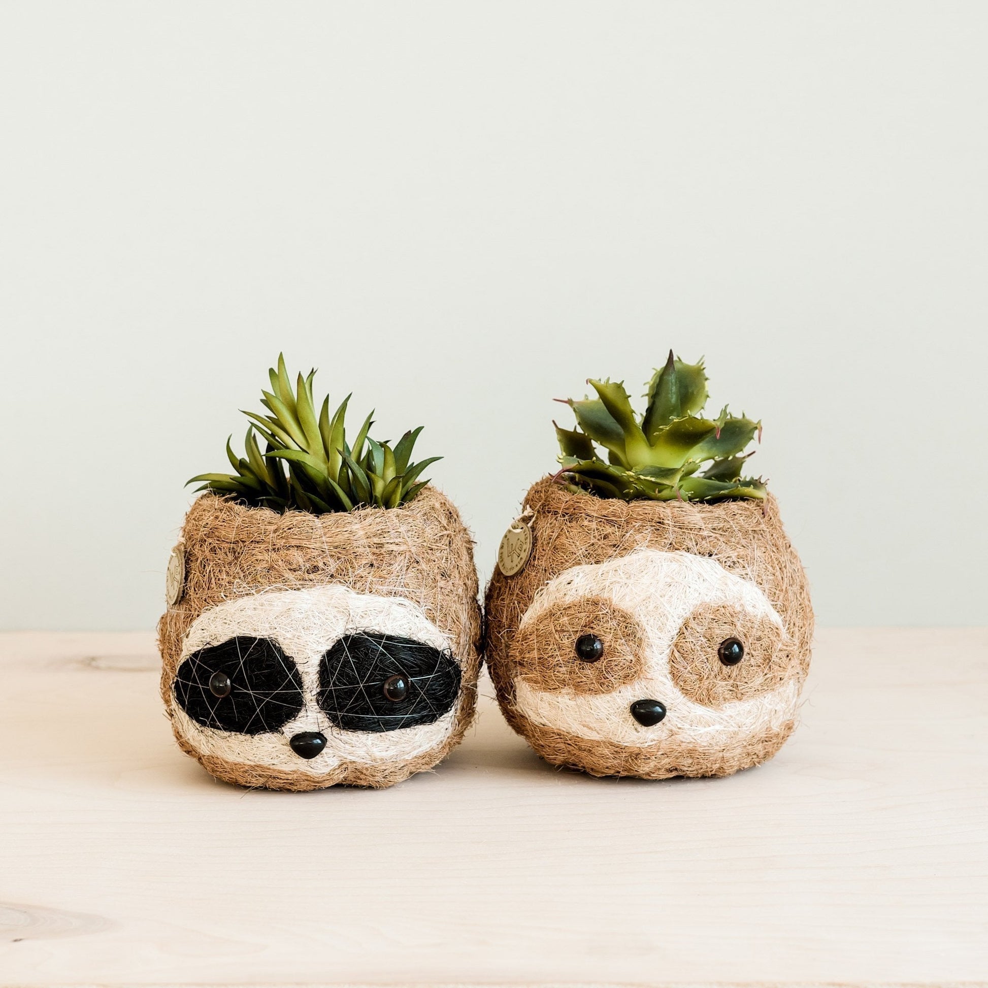 Three-tone Sloth Coco Coir Planter