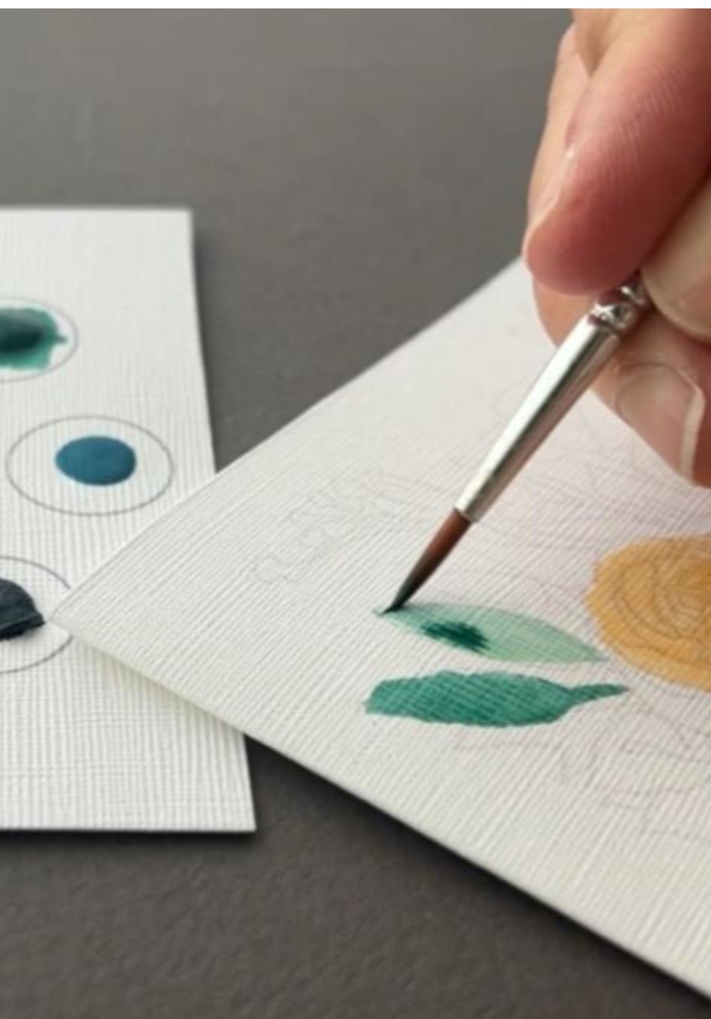 Cactus All-In-One Watercolor Kit