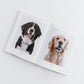 DOGS OF JACKSON HOLE