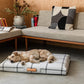 White Plaid | Dog Bed or Bed Cover