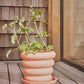 Terra Pot Saucer - Small