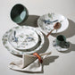Dinner Plate Set of 6