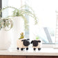 Sheep Planter - Coco Coir Pots | LIKHÂ