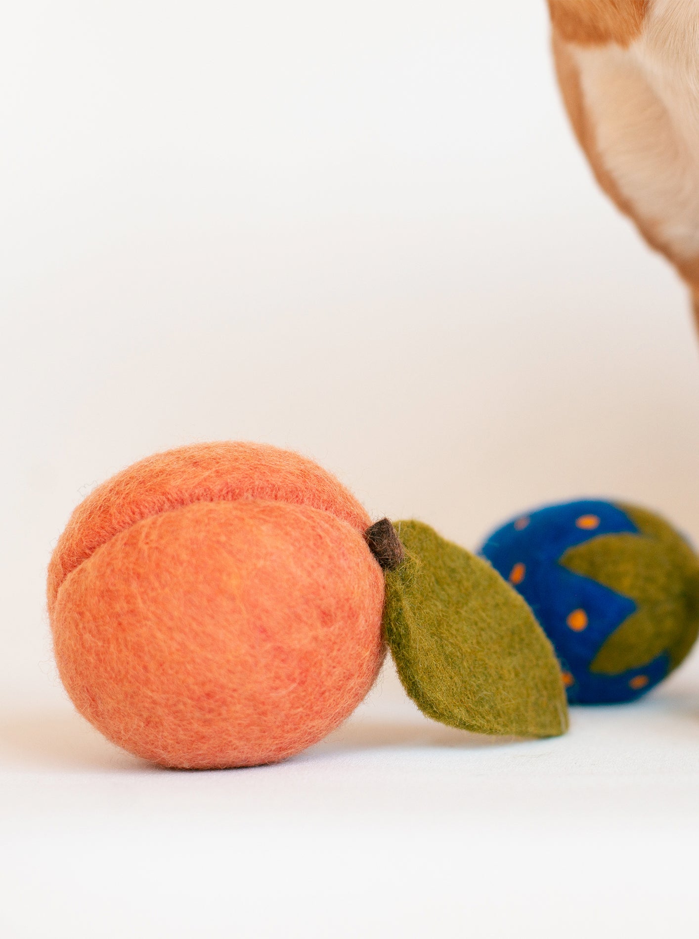 DOGGY PEACH