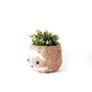 Large two-tone Sloth - Coco Coir Pots (6 inch) | LIKHÂ