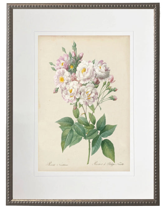 Vintage pink rose print matted in a cream mat in a beaded pewter frame sized 16x20
