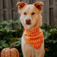 SKELETON BANDANA