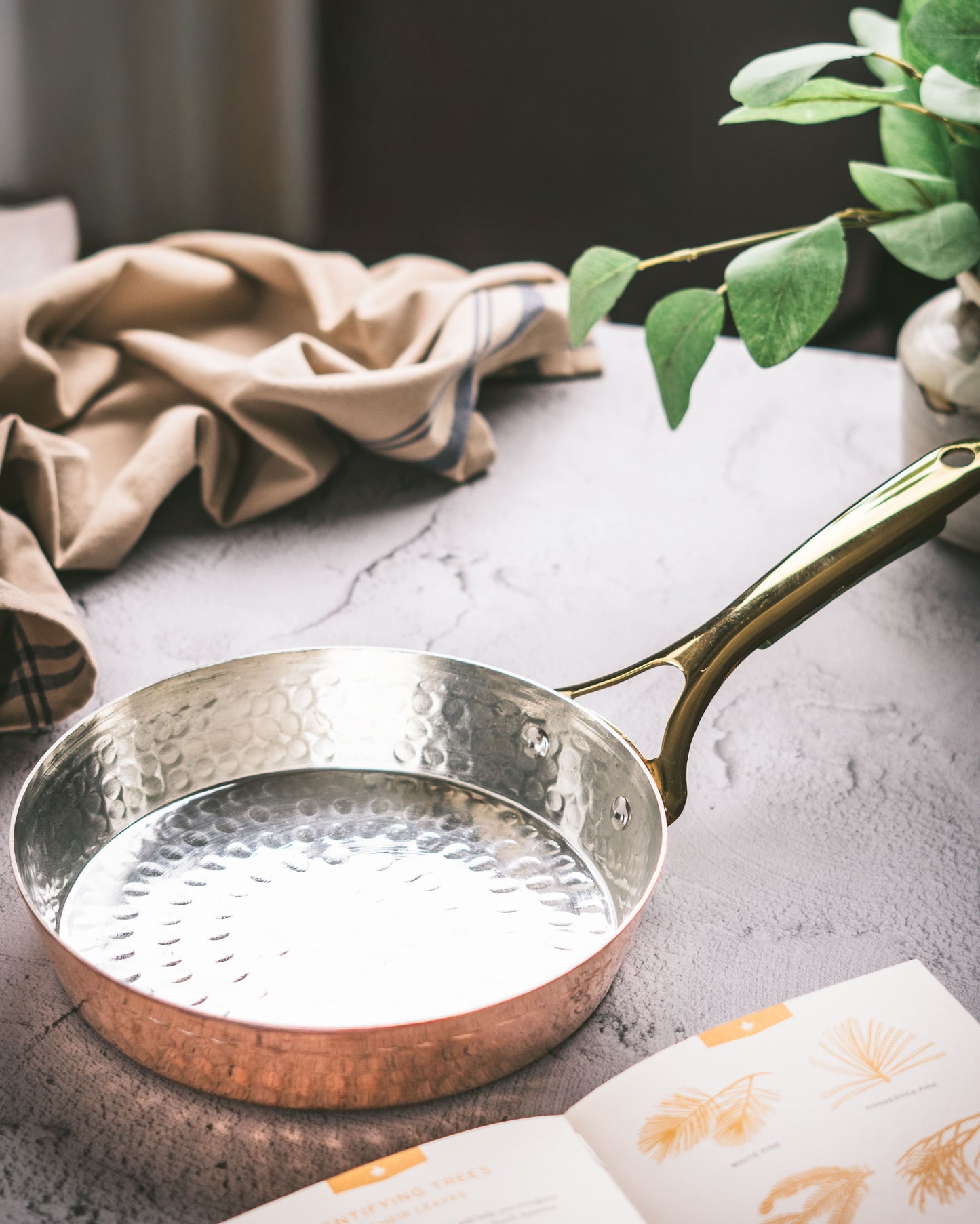 Copper Frypan (Frying Pan) with Brass Handle - Saute Pan