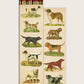 DOG COLLAGE MATCHES