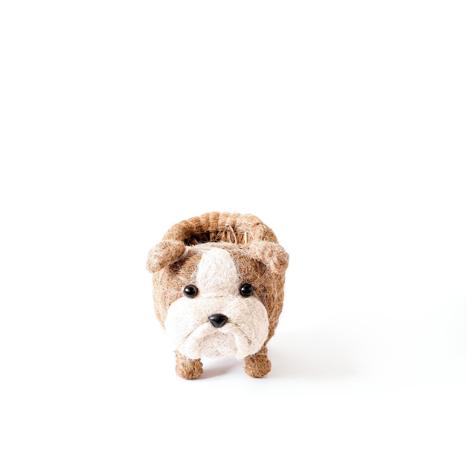 English Bulldog Planter - Coco Coir Pots | LIKHÂ
