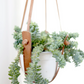 Small Flourish Plant Hanger