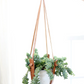 Small Flourish Plant Hanger