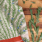 Rosemary Herb Dish Towel