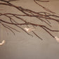 Wooden Sunbird Ornament