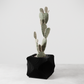 Xenova Planter